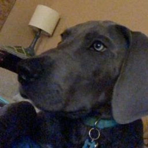 Meet your Posher, Jerzey